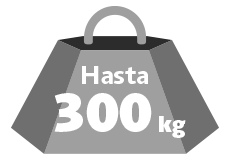 
hasta-300-kg_es_ES
