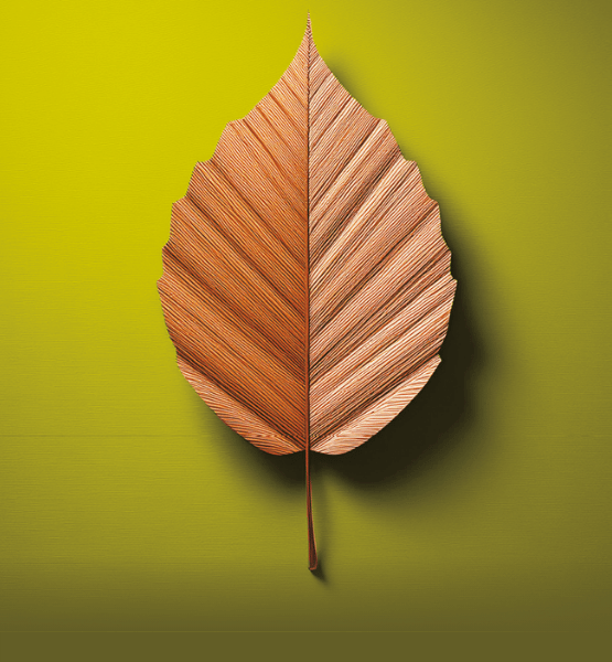 Embalaje ecológico