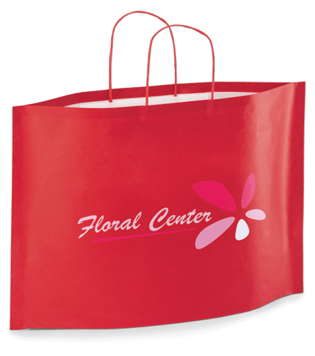 Bolsas kraft bottom bag