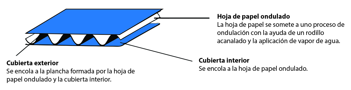 Composición de una lámina de cartón ondulado