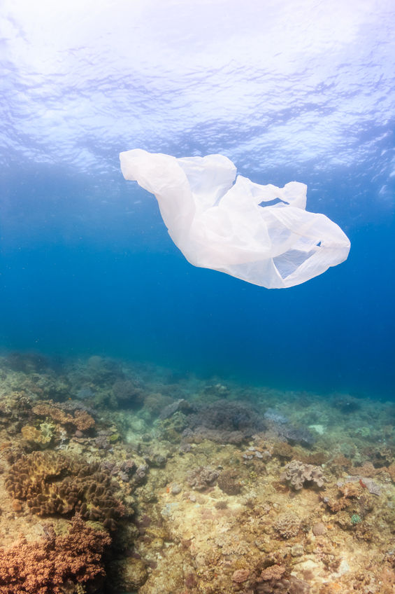 Bolsa de plástico flotando en el mar