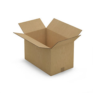 Caja de cartón de canal doble Rajabox