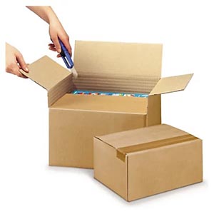 Caja de cartón para libros de gran tamaño