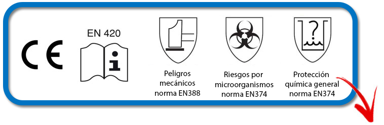 La guía definitiva para escoger tus guantes de trabajo RAJA®