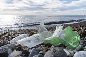 Plásticos de un solo uso acumulados en la playa