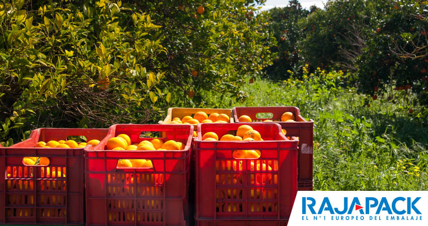 Usos y ventajas de las cajas de plástico para | Rajapack